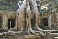 Angkor_029_byWHO